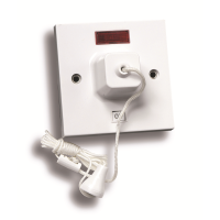 SELECTRIC 45AMP DP CEILING PULL SWITCH W/NEON