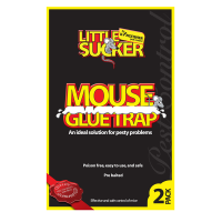 KINGFISHER 2 PACK MOUSE GLUE TRAPS